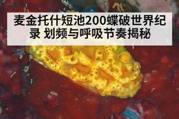 麦金托什短池200蝶破世界纪录 划频与呼吸节奏揭秘